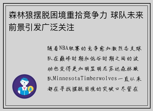 森林狼摆脱困境重拾竞争力 球队未来前景引发广泛关注